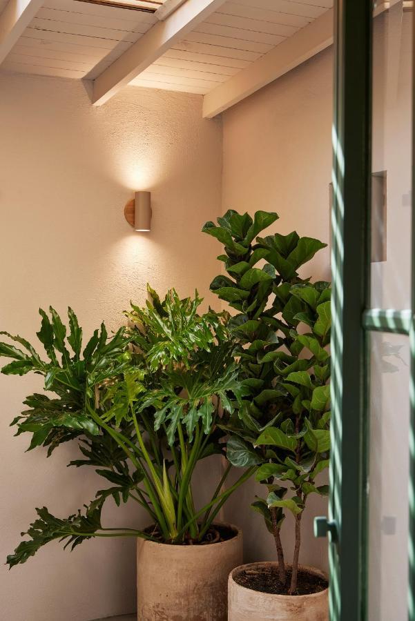 Antipoda Hotel Boutique メデジン エクステリア 写真