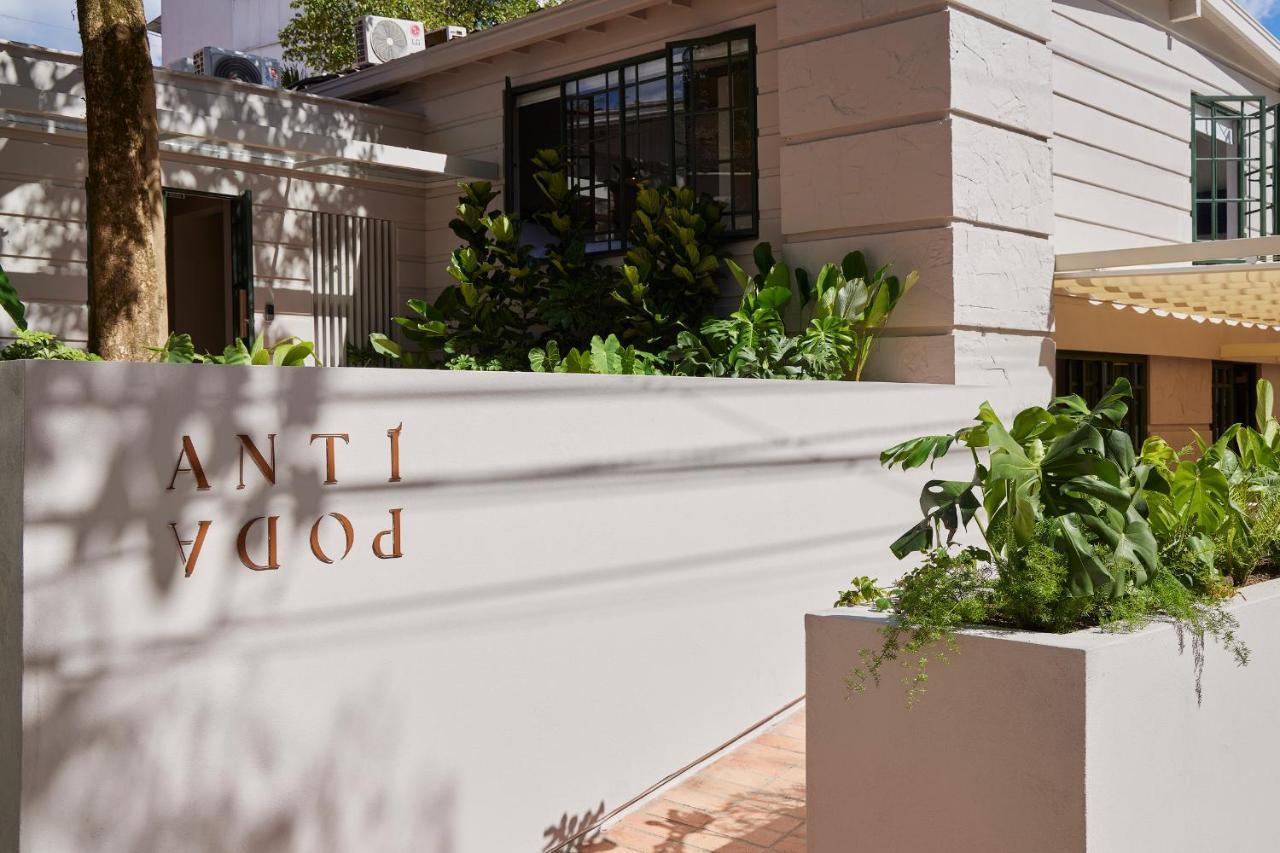Antipoda Hotel Boutique メデジン エクステリア 写真